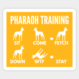 Pharaoh Training Pharaoh Dog Tricks Sticker